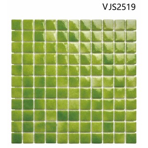 VJS 2519
